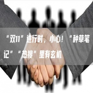 这个“双11”进行时，小心！“种草笔记”“热搜”里有玄机