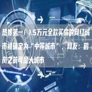 热搜第一！1.5万元全款买房的网红城市被确定为“中等城市”，网友：鹤岗之前可是大城市